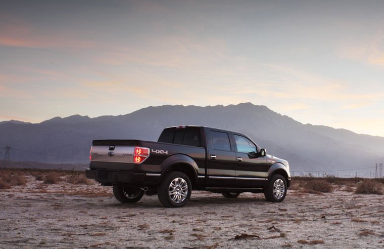 2009 Ford F150 Super Crew Platinum Picture